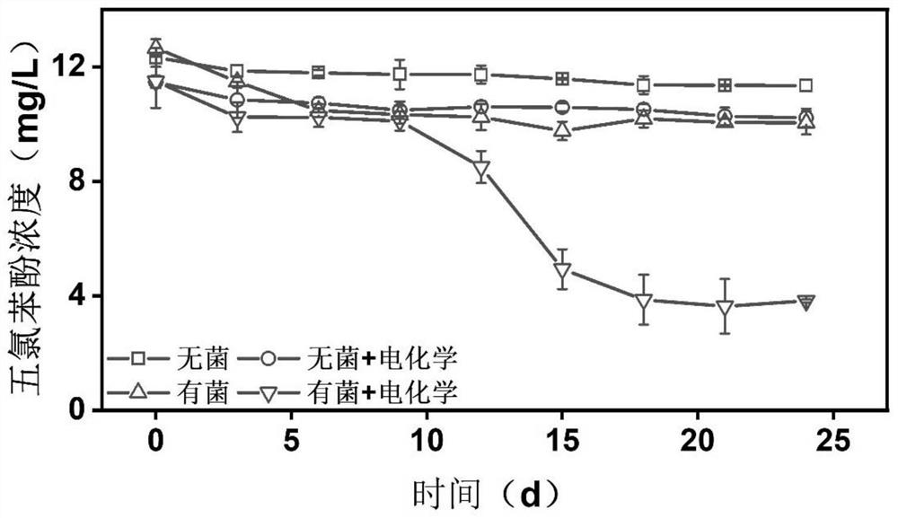 Bioelectrochemical device and method for mineralizing and degrading organic chlorine