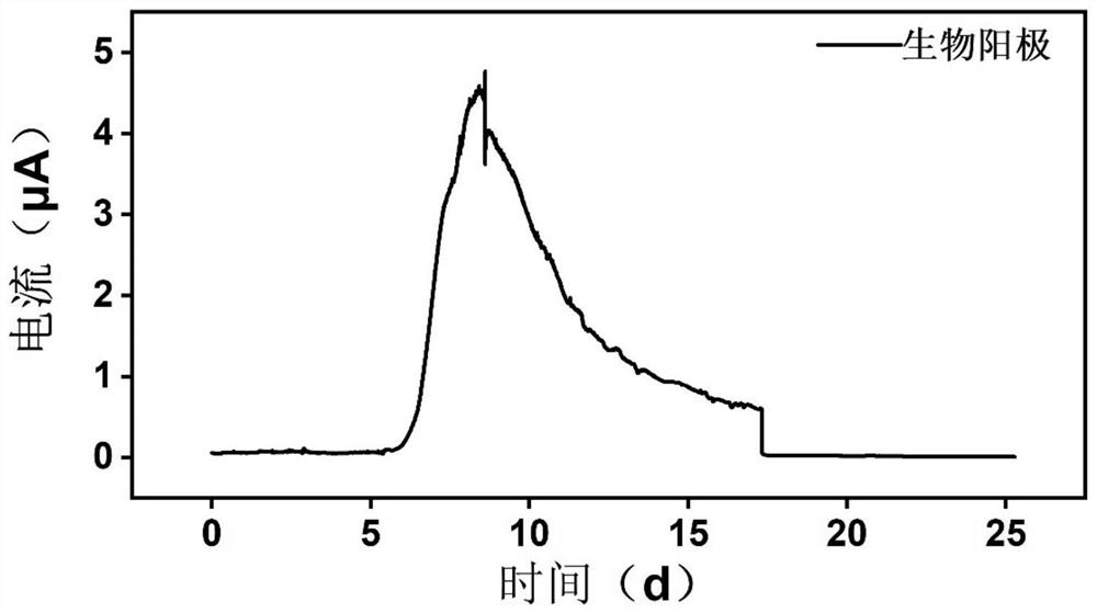 Bioelectrochemical device and method for mineralizing and degrading organic chlorine