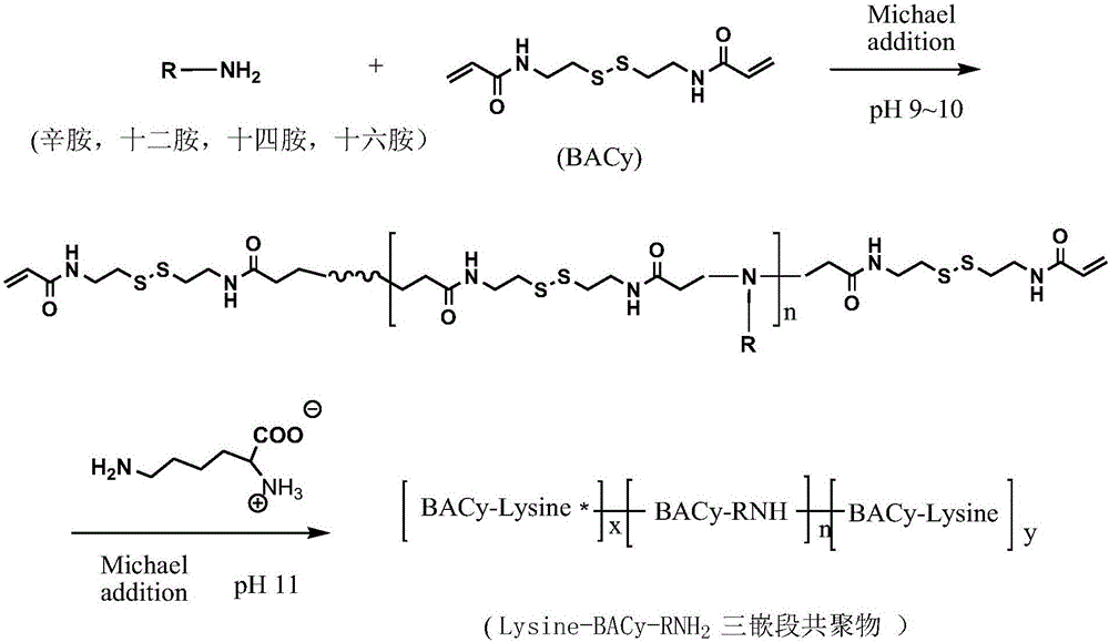 Preparing method for poly-zwitter-ion nanoparticles based on amino acid