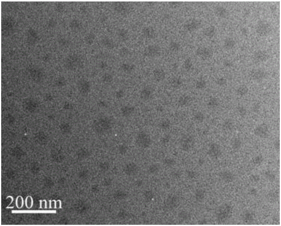 Preparing method for poly-zwitter-ion nanoparticles based on amino acid