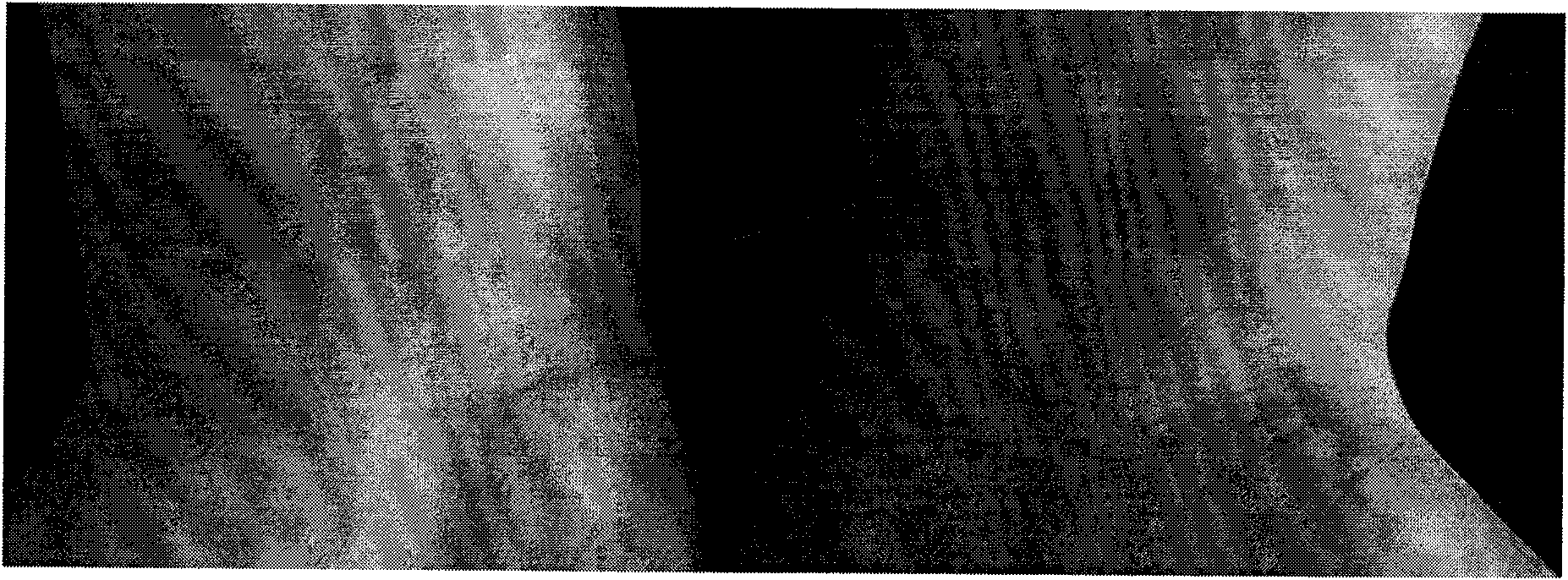 Vitiligo and grey hair preventing and treating recipe and method thereof