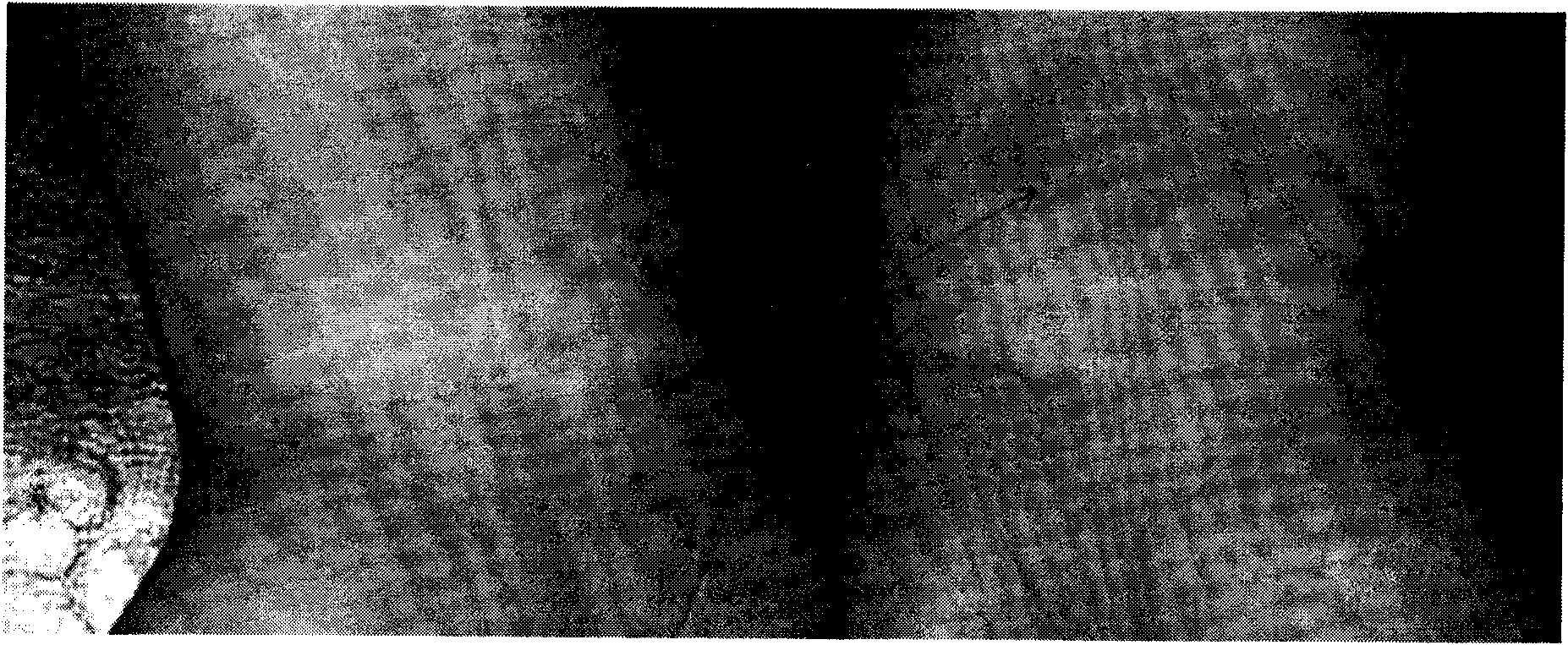 Vitiligo and grey hair preventing and treating recipe and method thereof