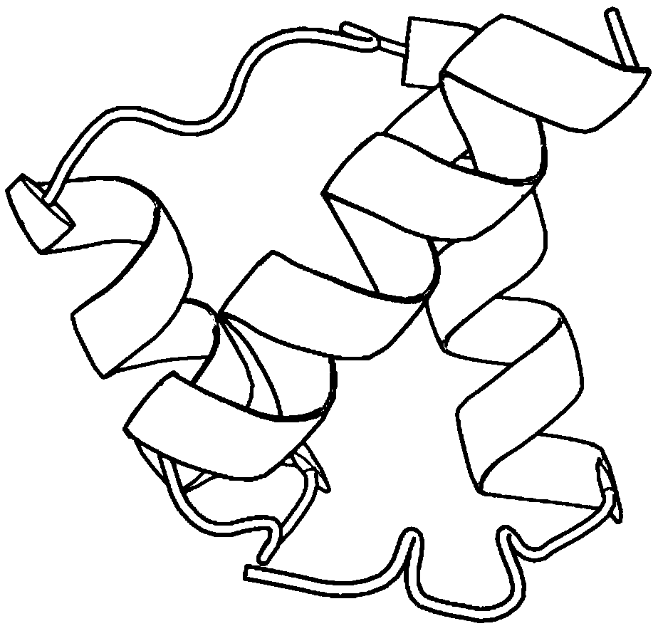 Strategy adaptive protein conformation space optimization method based on transfer entropy