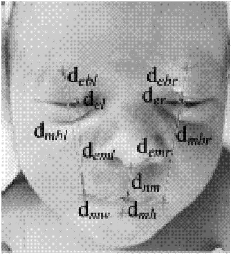Neonatal pain identification method based on facial expression analysis