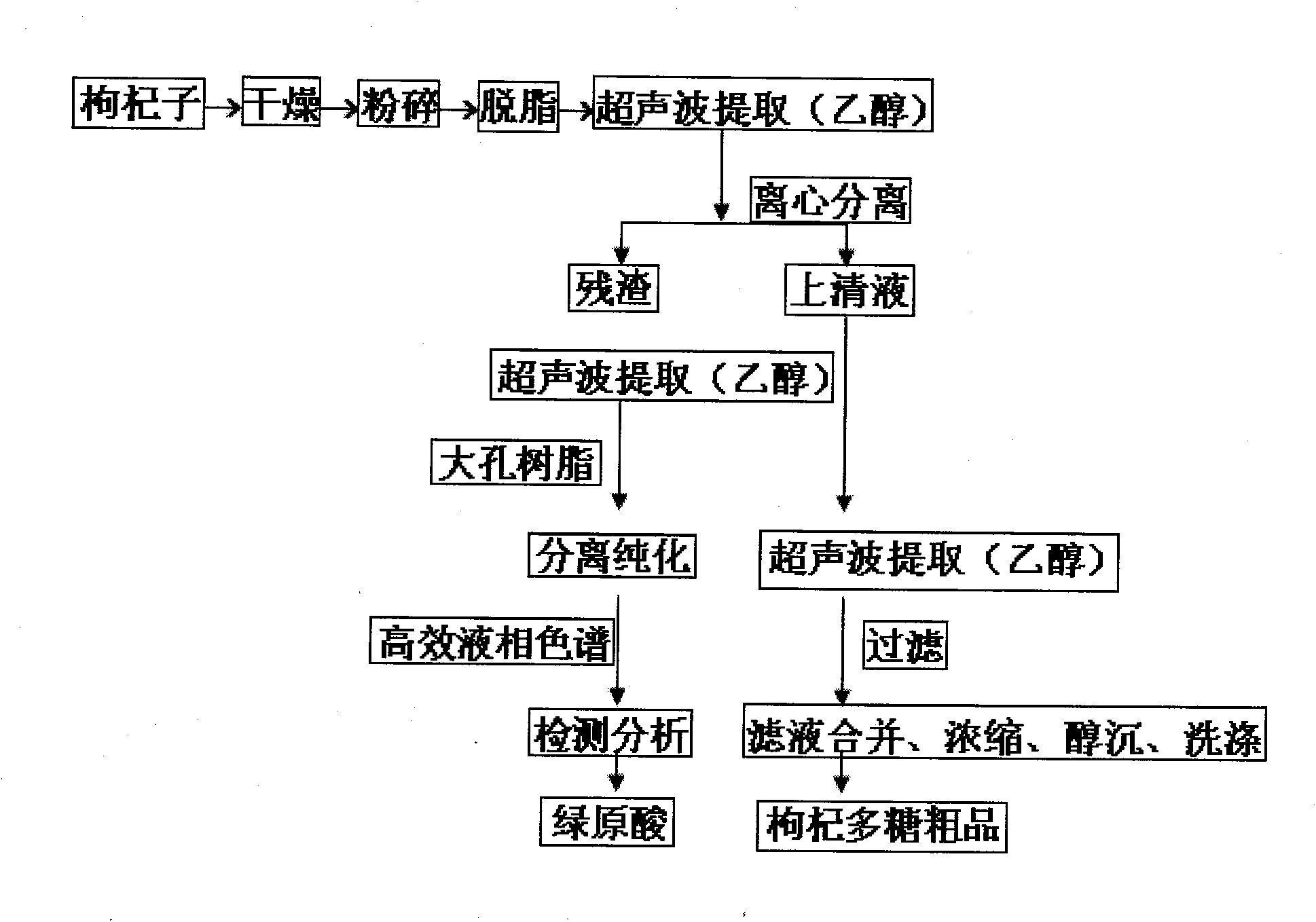 Method for extracting chlorogenic acid from Chinese wolfberry