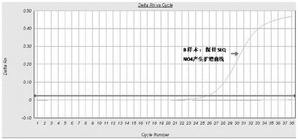 Method and oligonucleotide for detecting cyp2c19*2 mutation site