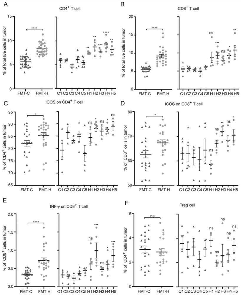 Lactobacillus paracasei strain for enhancing treatment effect of immune checkpoint inhibitor and application of lactobacillus paracasei strain