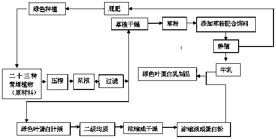 Dandelion leaf protein special medical use formula food