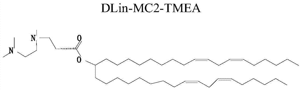 Amphiphilic derivatives of 3-((2-(dimethylamino)ethyl)(methyl)amino)propionic acid and uses thereof