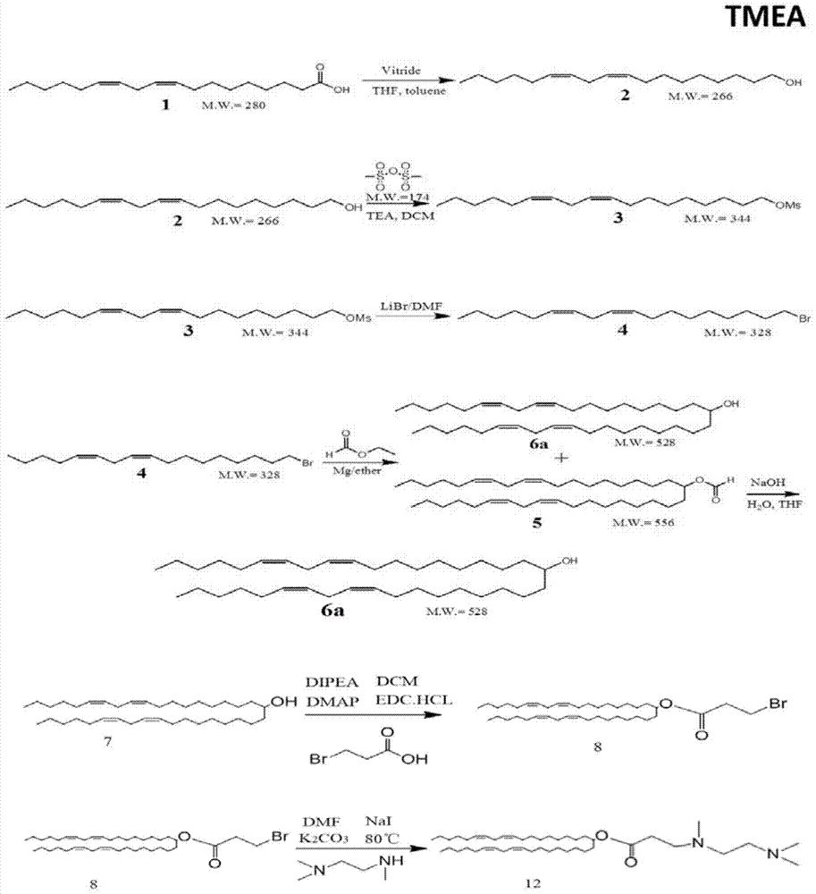 Amphiphilic derivatives of 3-((2-(dimethylamino)ethyl)(methyl)amino)propionic acid and uses thereof