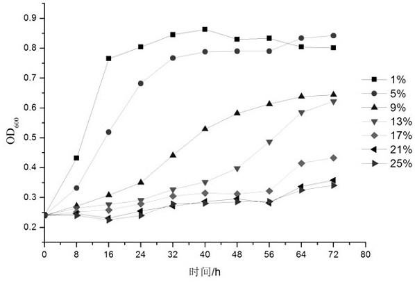 High-salt-tolerant bacterium and application thereof