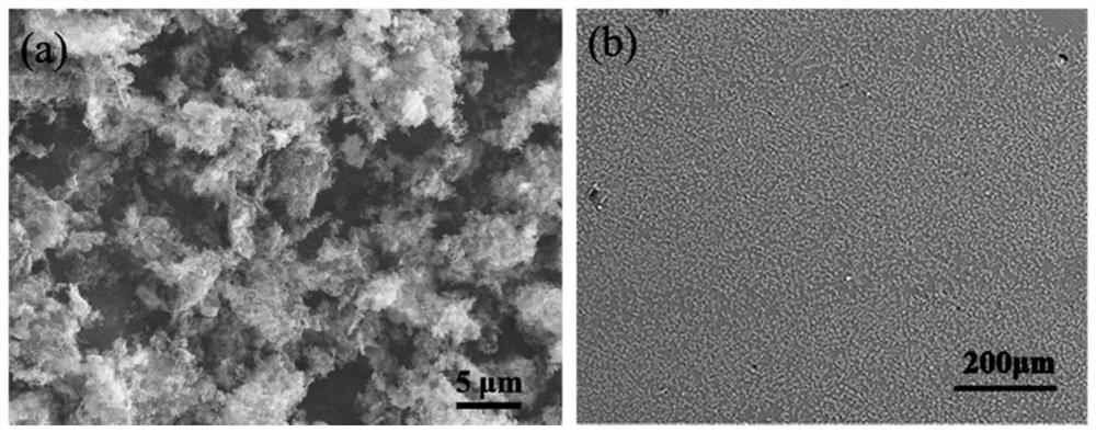 A kind of magnesium alloy graphene modifier and its preparation method and application