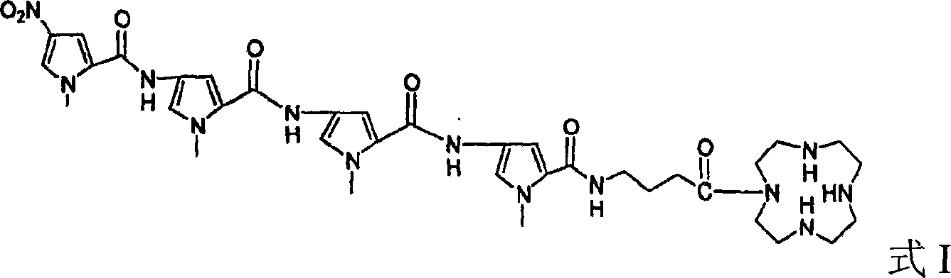 Polyamide bisbenzimidazole compound, preparation method and application thereof