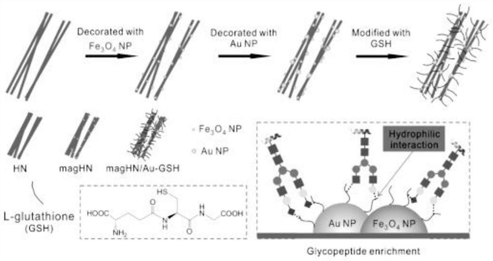 Magnetic nanofiber-based zwitterionic hydrophilic materials for selective capture and recognition of glycopeptides