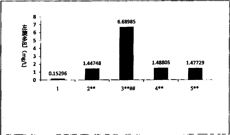 Composition containing levodopa and borneol, and application thereof