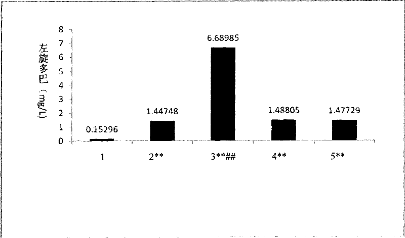 Composition containing levodopa and borneol, and application thereof