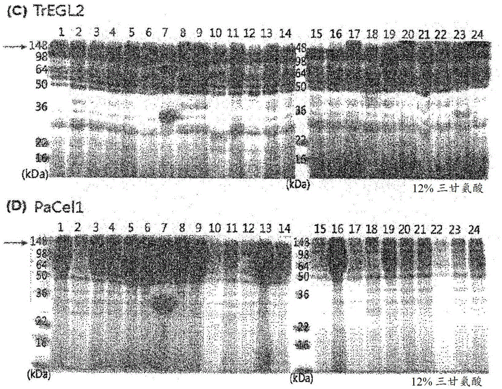 Recombinant cellulose diastatic enzyme cocktail, recombinant yeast complex strain, and use thereof
