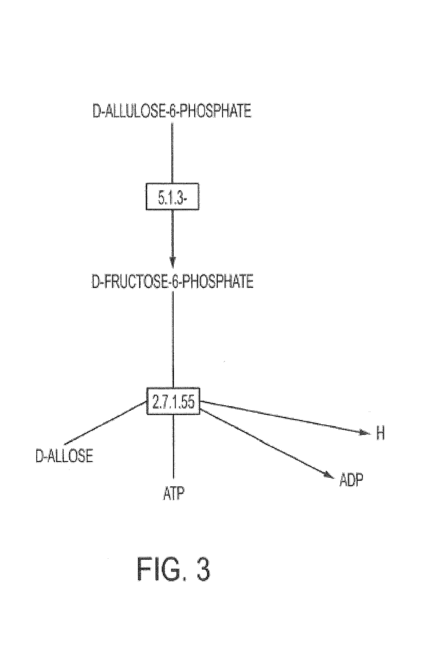 Method, apparatus and computer program product for metabolomics analysis