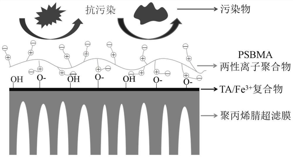 Anti-pollution nanofiltration membrane based on tannic acid multi-layer assembly as well as preparation and application
