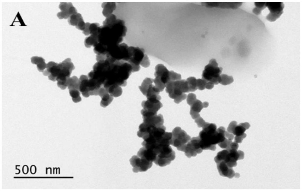 Manganese pollution repairing agent and preparation method and use thereof