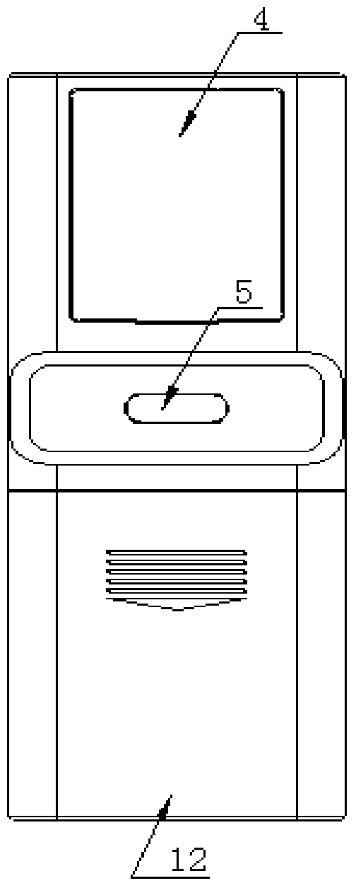 Remote controller with anion detection function