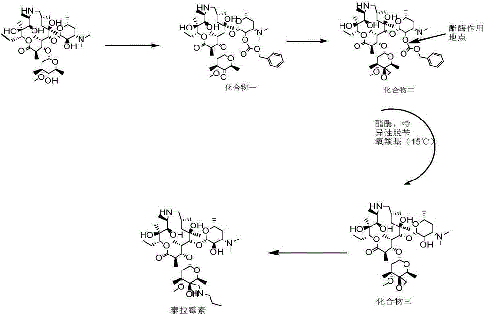 Technology for enzymatic synthesis of tulathromycin