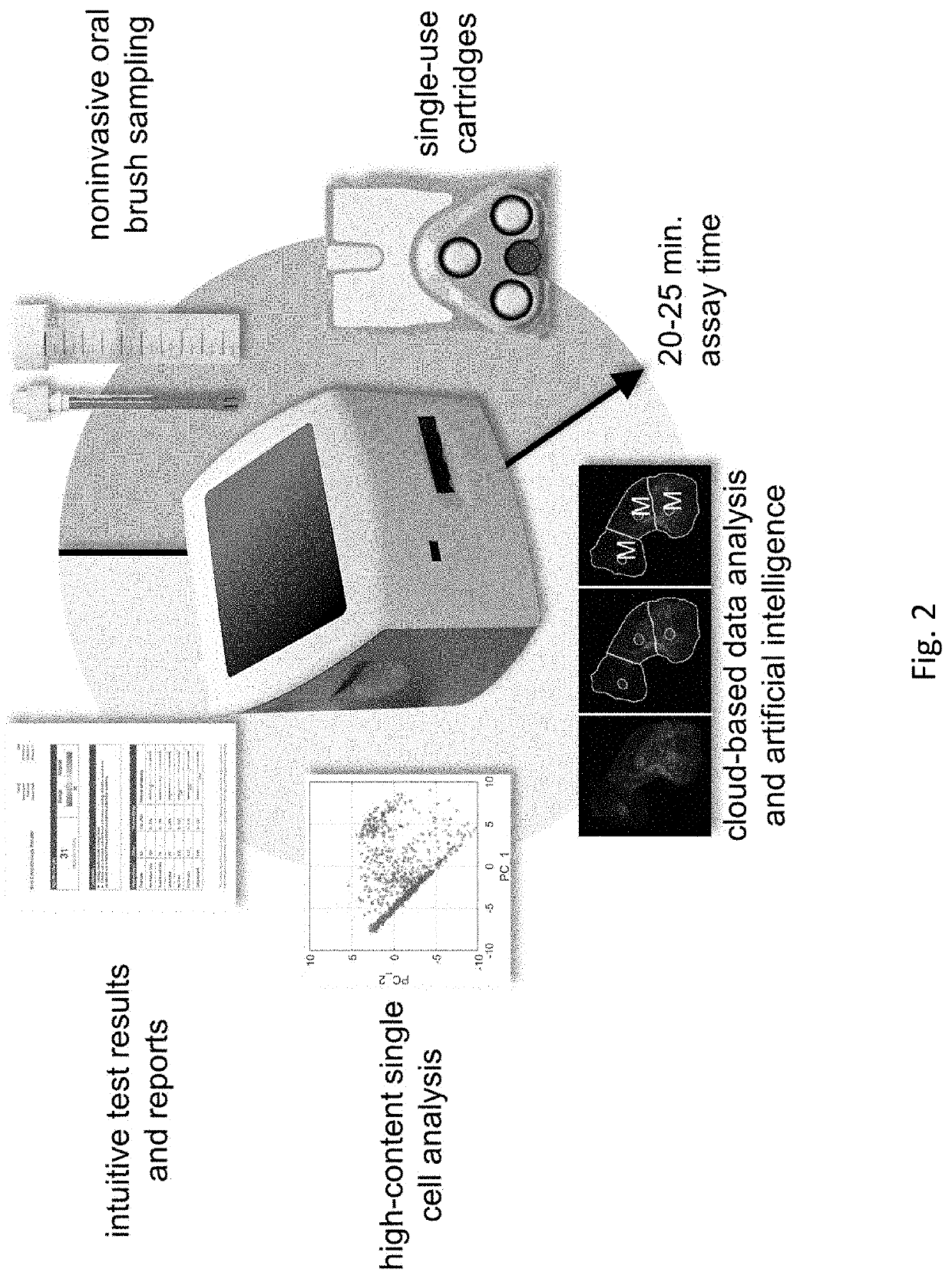 Screening and Assessment of Potentially Malignant Oral Lesions