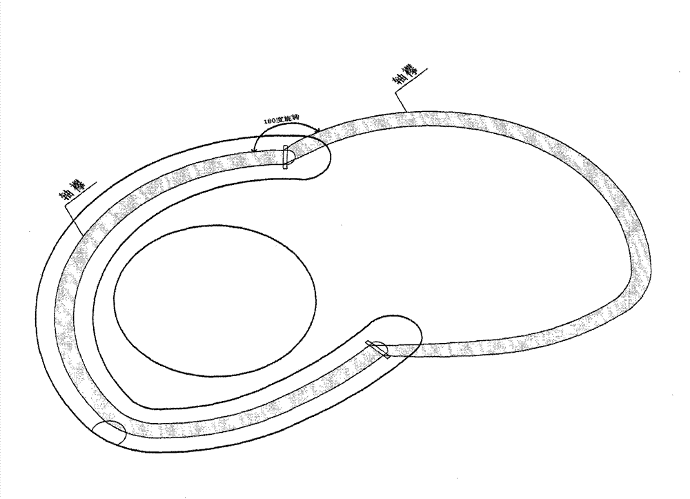 Ocular surface amniotic membrane coverer
