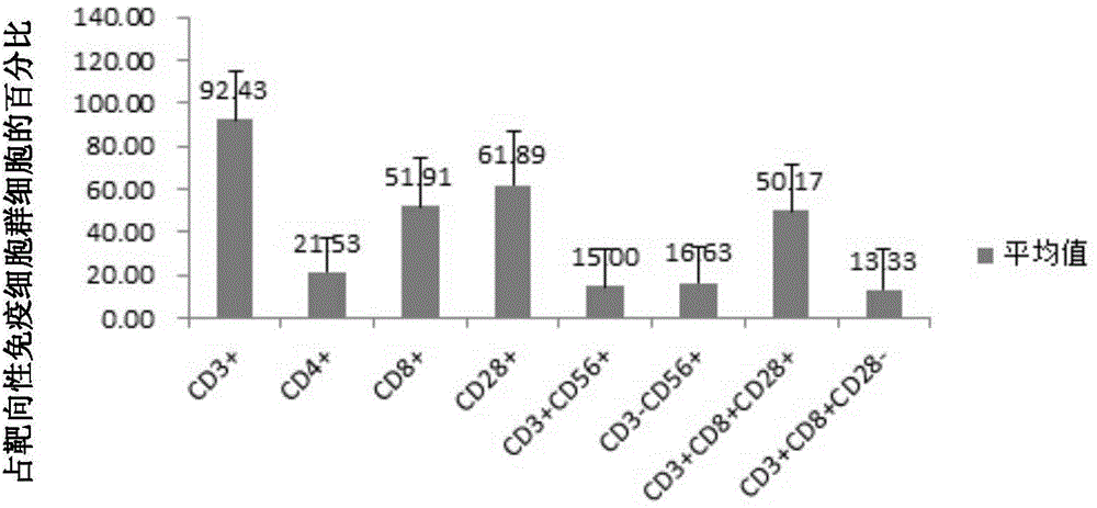 DC cell based on P53 antigen, targeting immune cell population, preparation method and applications thereof
