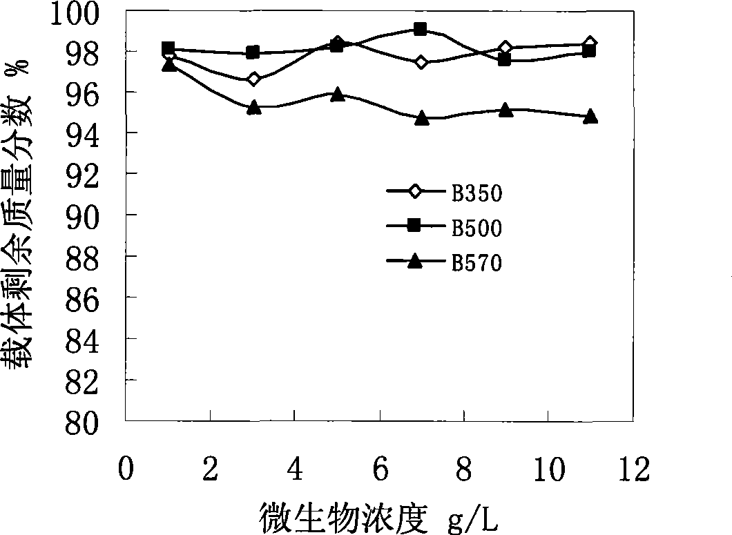 Macroreticular polyvinyl alcohol bead carrier and preparation thereof