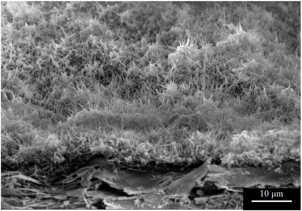 A kind of in-situ growth potassium niobate material on the surface of vermiculite and its preparation method