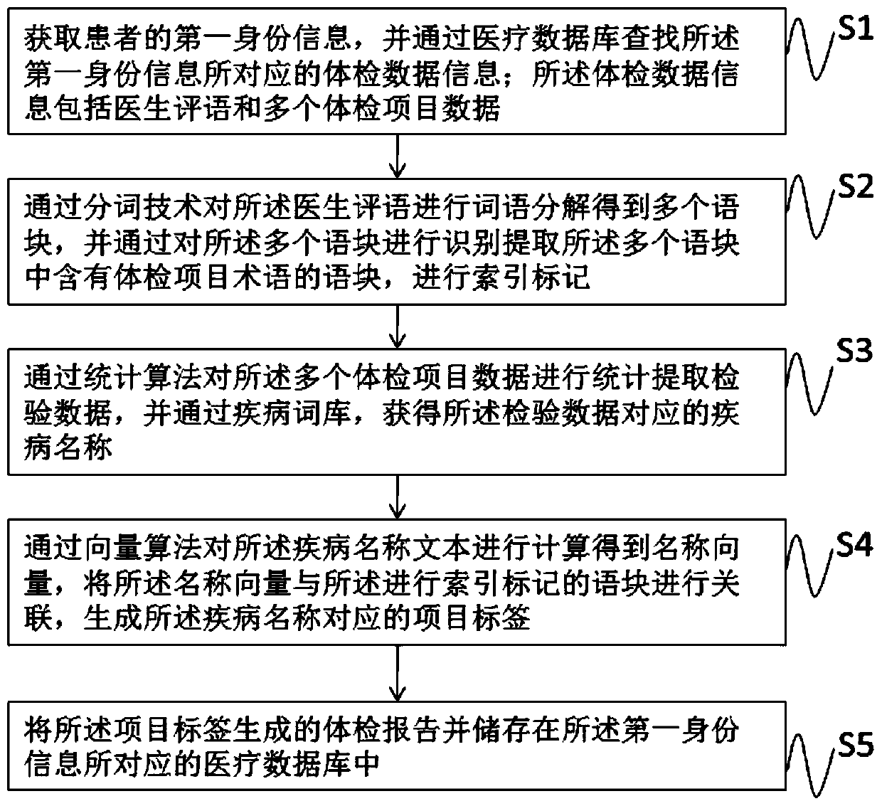 Novel physical examination report generation method and device, medium and terminal equipment