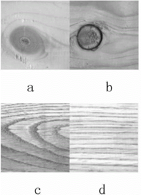 Method for cooperatively classifying perceived solid wood panel surface textures and defects by feature extraction and compressive sensing based on dual-tree complex wavlet
