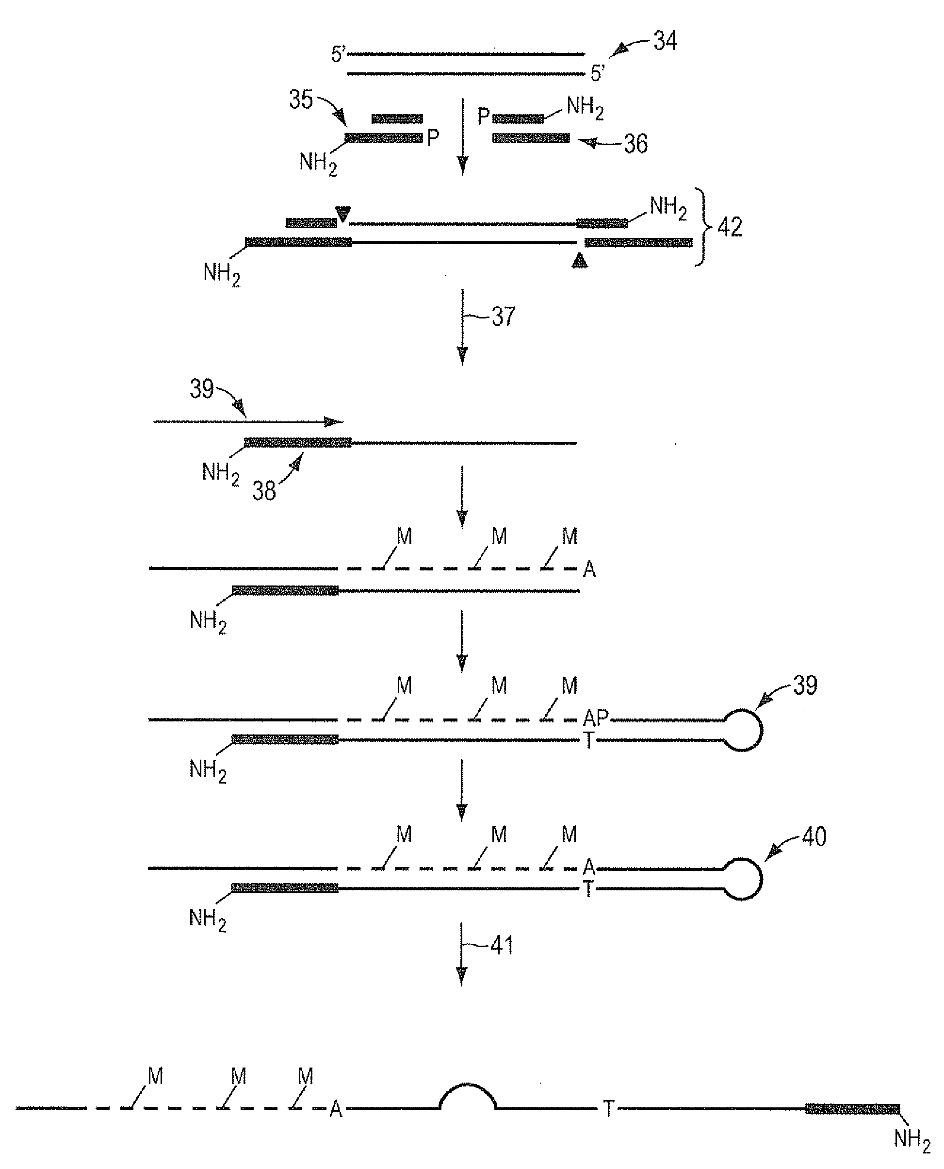 Method of sequencing and mapping target nucleic acids