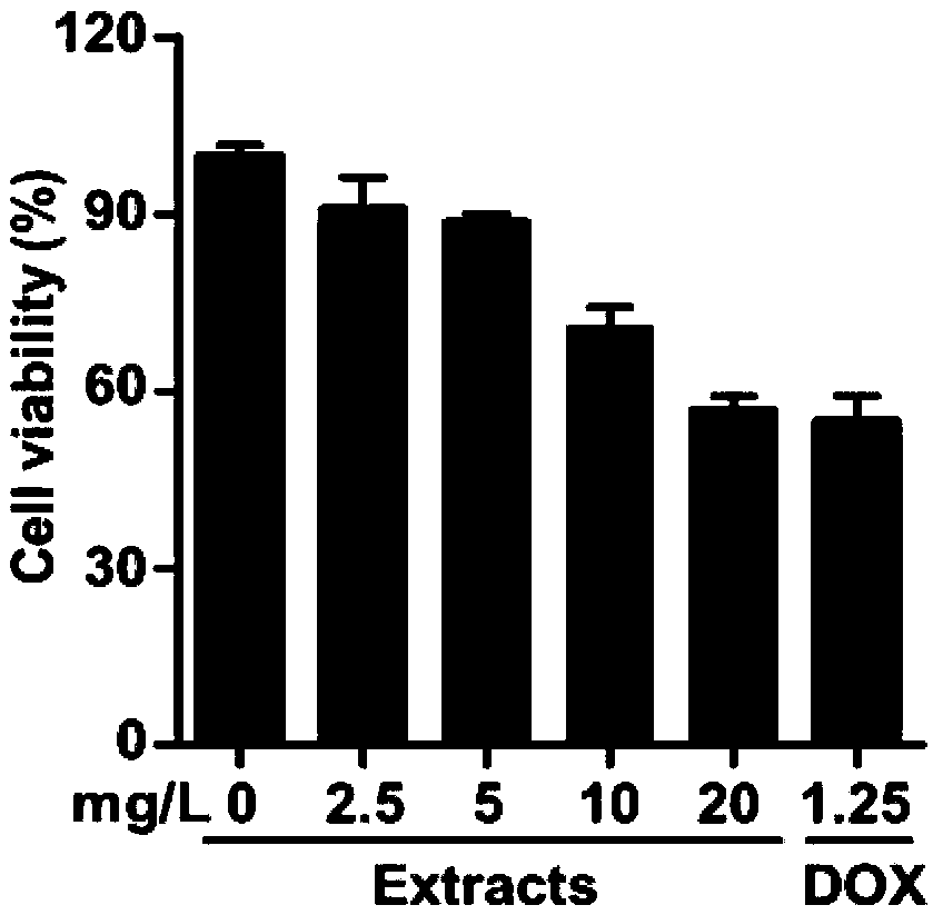 Antineoplastic traditional Chinese medicine composition and preparation method thereof