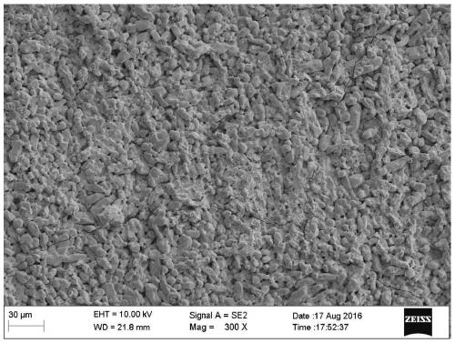 Tantalum tungsten alloy high-temperature oxidation resistant coating material, preparation method and tantalum tungsten alloy swivel nut