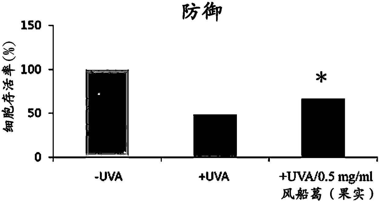 Use of cardiospermum halicacabum extract in the manufacture of a composition for upregulating sod2 expression, promoting skin repair and preventing skin damage by UV light