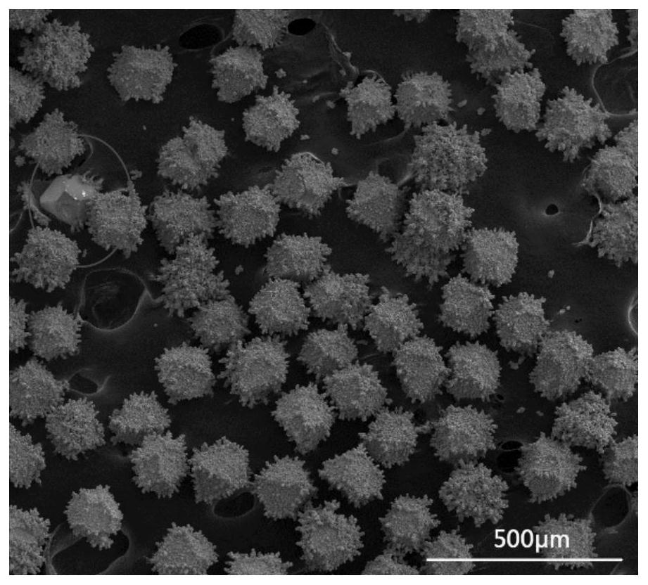 A kind of tungsten-plated diamond particles, tungsten-plating method, its application as copper-based reinforcing phase and obtained diamond/copper composite material