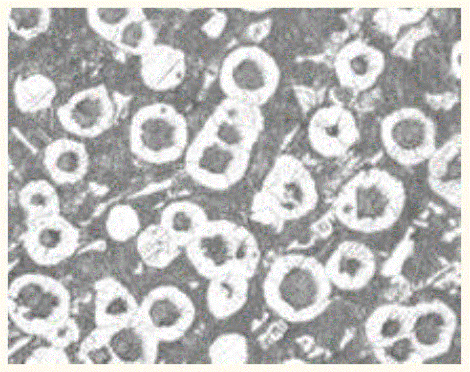 Hot metal spheroidizing treatment method