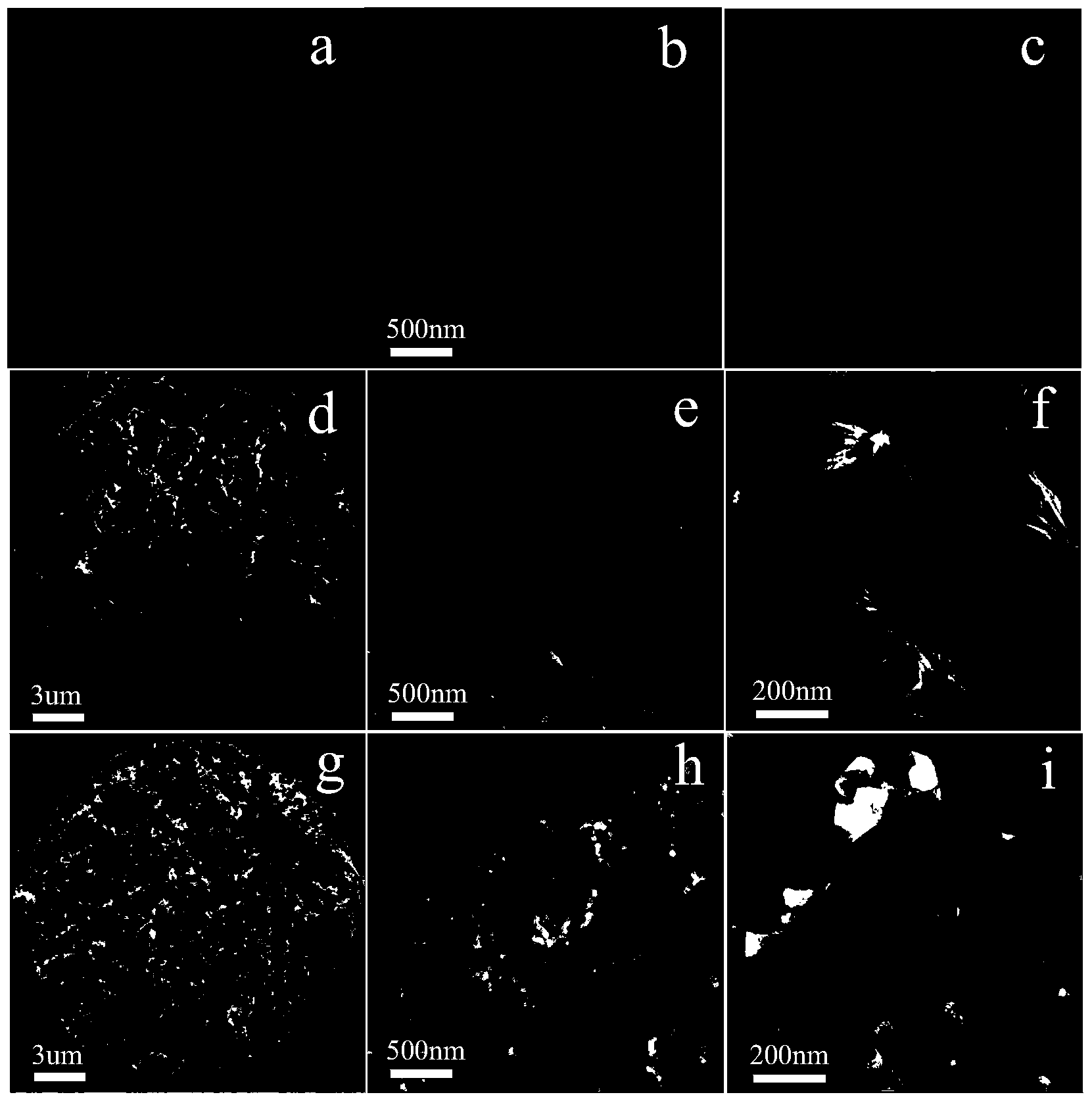 Preparation method for diatomite adsorbent chemically modified by nano gamma-Al2O3 adopting ordered structure