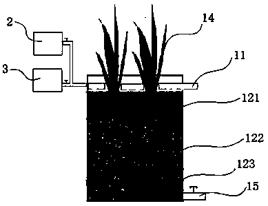 Method and system for enhancing constructed wetland to remove microcystis and toxins in water