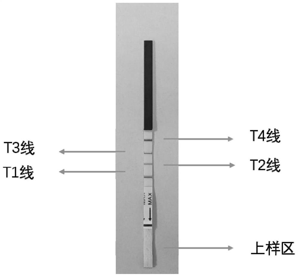 Rapid, simple and convenient deafness gene detection method and kit