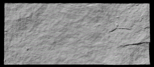 A spatial reconstruction method of formation fractures based on core measurement