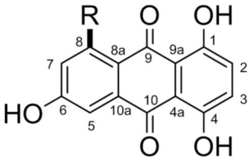 1,4,6-trihydroxy-8-branched-chain-9,10-anthraquinone compound and application thereof in preparation of bacteriostatic agent