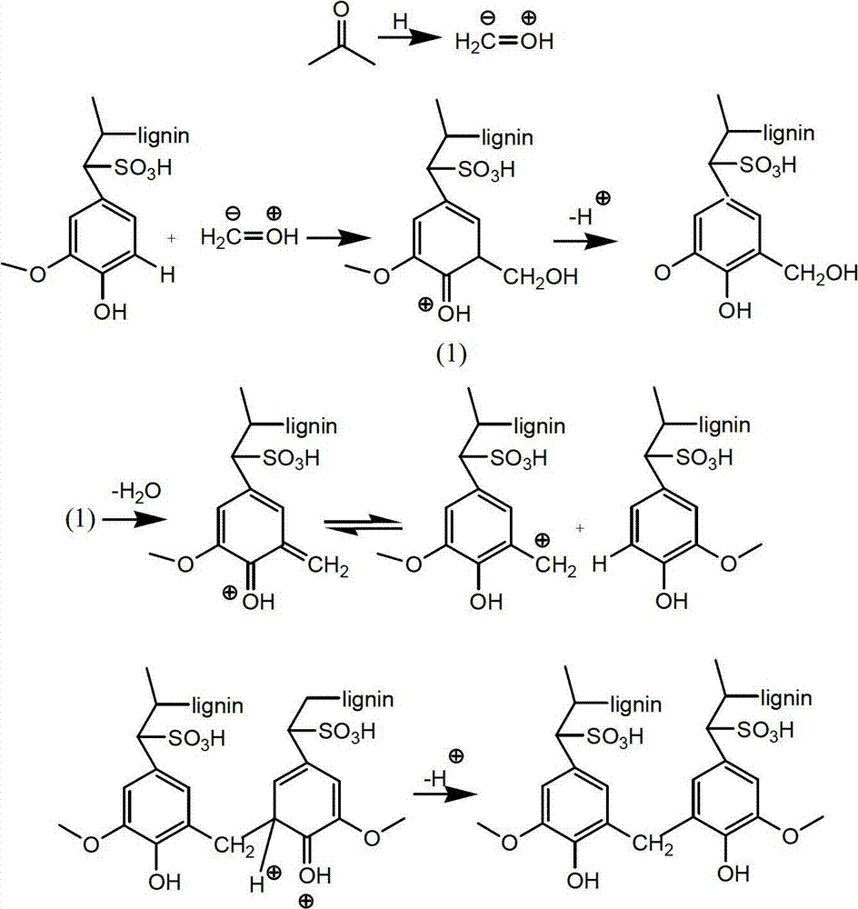 Porous biomass acidic solid material, and preparation and application thereof