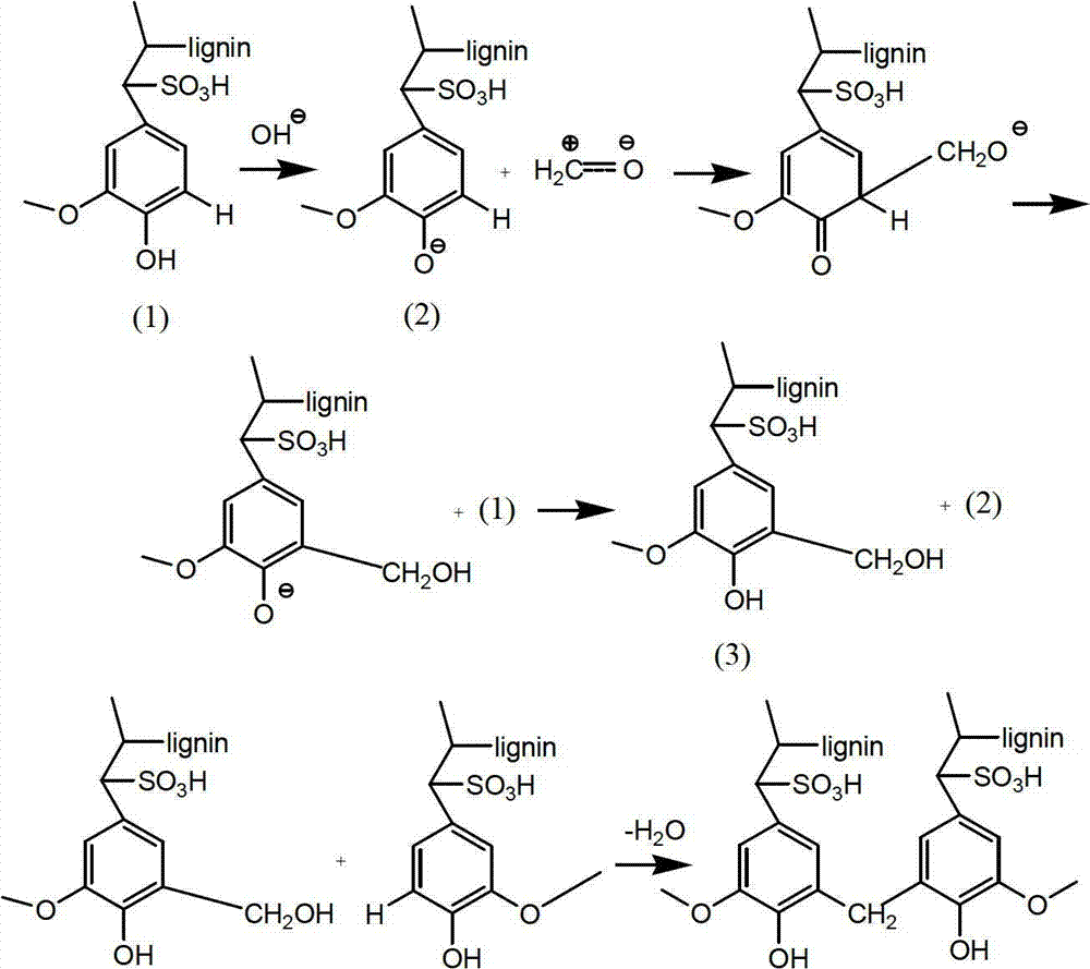 Porous biomass acidic solid material, and preparation and application thereof