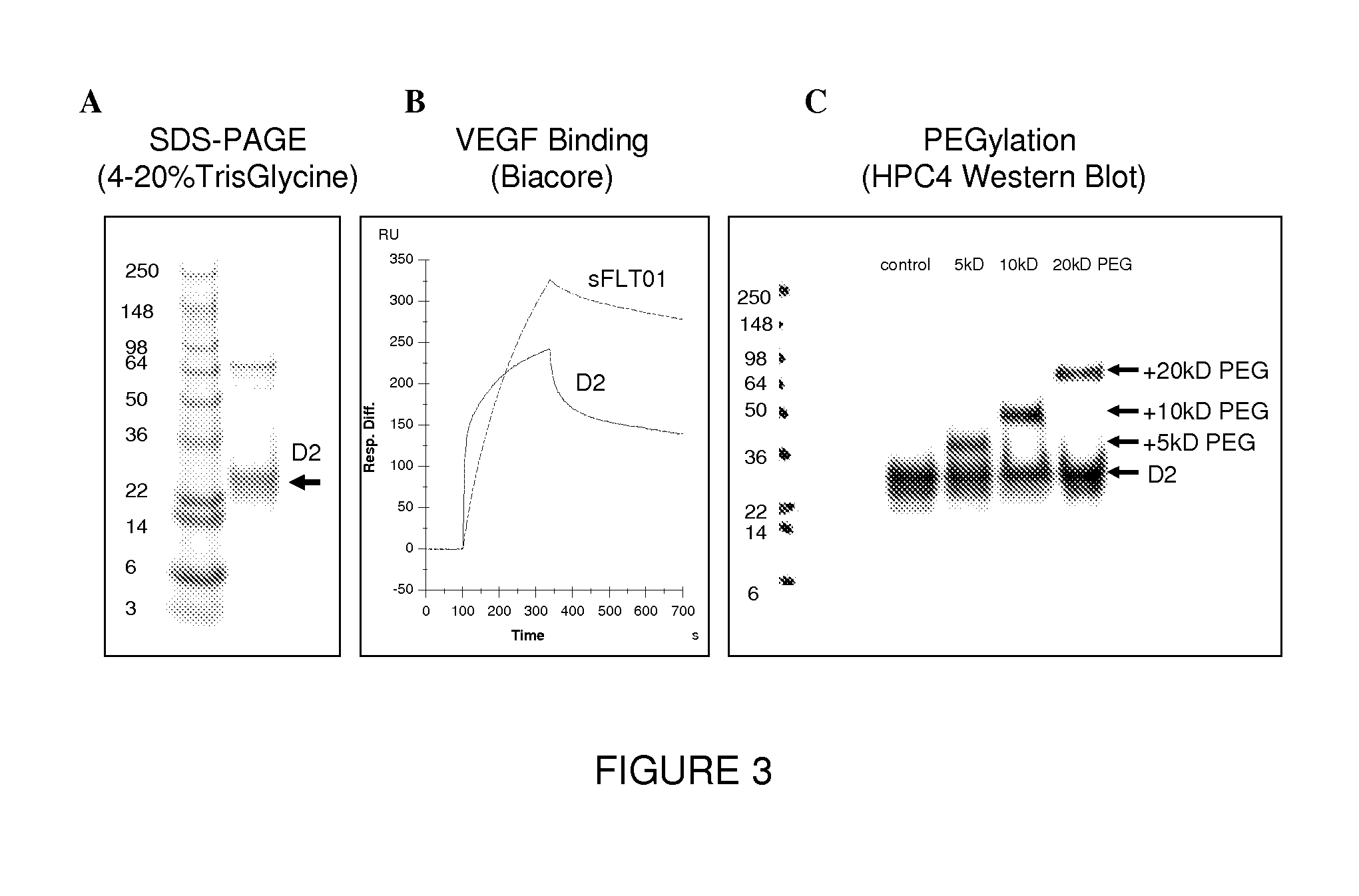 VEGF antagonist compositions and uses thereof