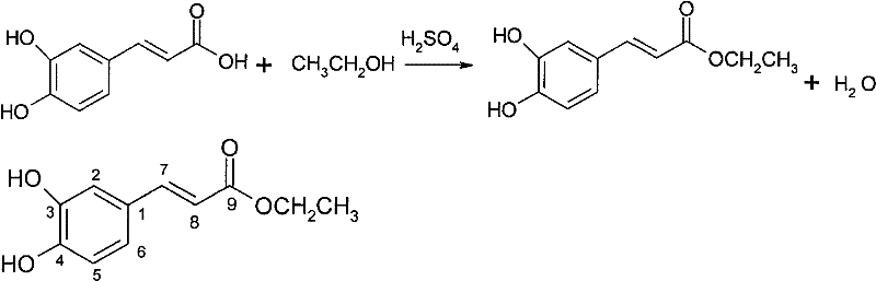 New purpose of caffeic acid and derivatives thereof