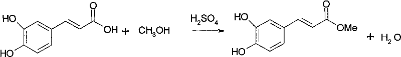 New purpose of caffeic acid and derivatives thereof