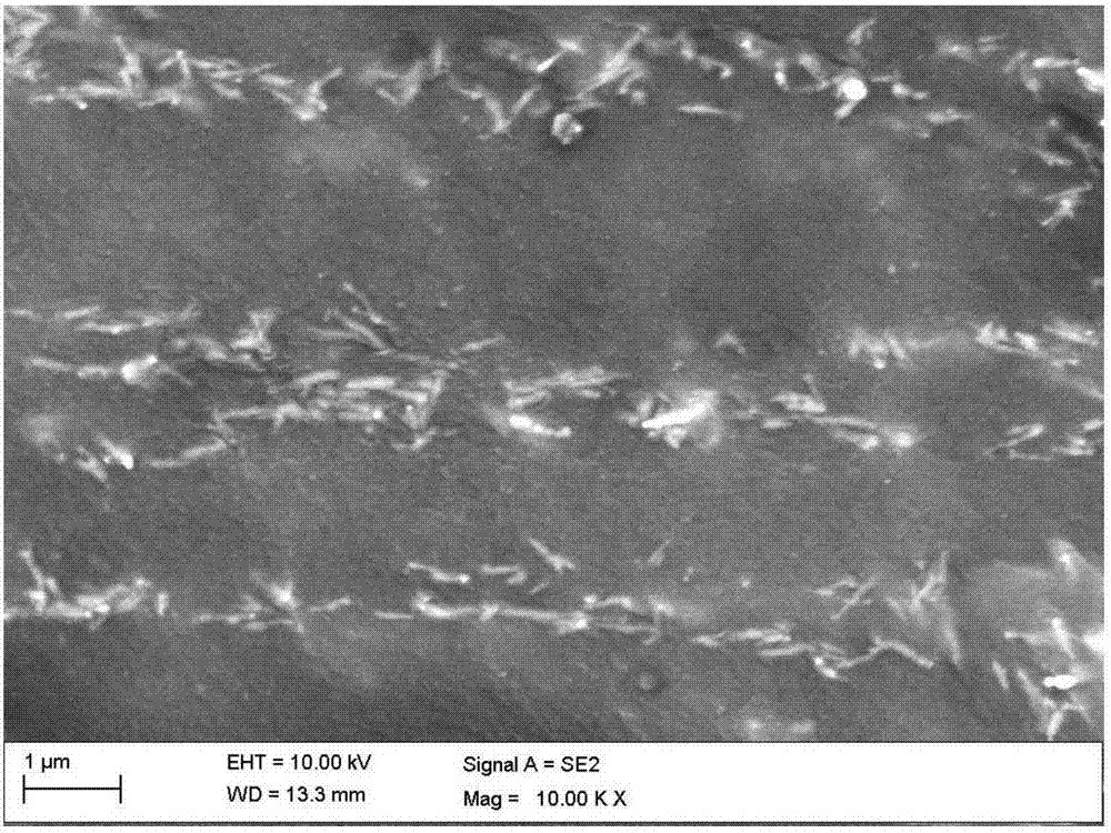 A preparation method of anti-fouling material with needle-shaped filler oriented arrangement